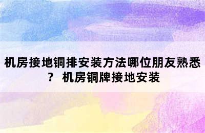 机房接地铜排安装方法哪位朋友熟悉？ 机房铜牌接地安装